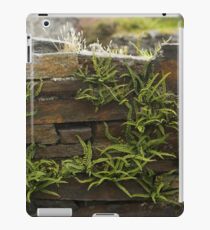 Spleenwort Maidenhair fern on wall at Cashelnagor iPad Case/Skin