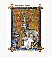 Illuminated New Testaments Revelations Photographic Print
