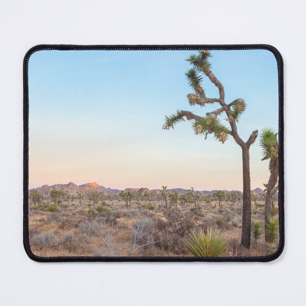 Item preview, Desert Yuccas designed and sold by jvnimages.