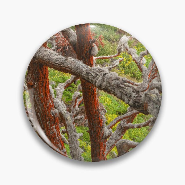 Item preview, Lichen and Wildflowers  designed and sold by jvnimages.