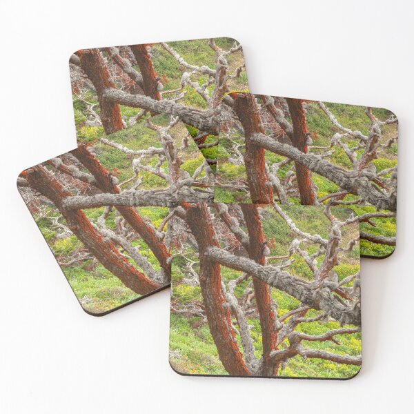 Item preview, Lichen and Wildflowers  designed and sold by jvnimages.
