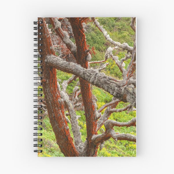 Item preview, Lichen and Wildflowers  designed and sold by jvnimages.