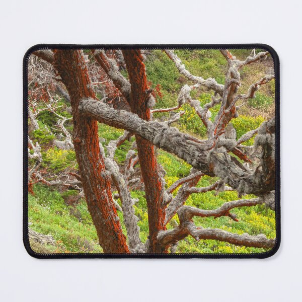Item preview, Lichen and Wildflowers  designed and sold by jvnimages.