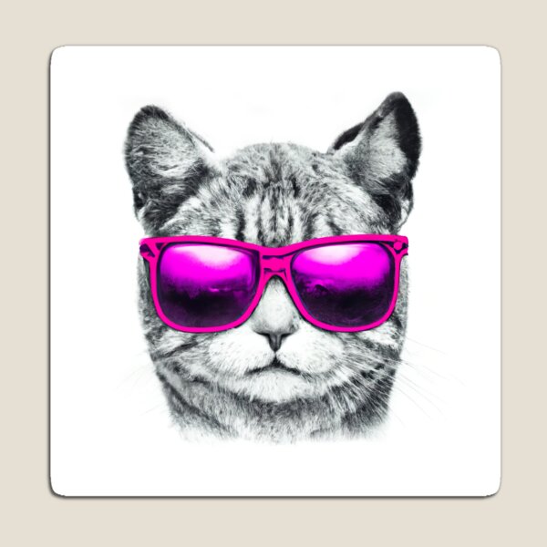 Beluga Discord - Beluga Cat - Pixel Pink Glasses Art Board Print for Sale  by DiensDesign