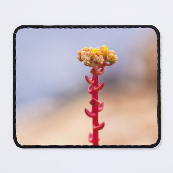 Item preview, Stonecrop designed and sold by jvnimages.