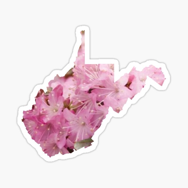 West Virginia Rhododendrons Sticker