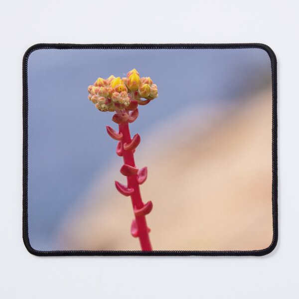 Item preview, Stonecrop designed and sold by jvnimages.