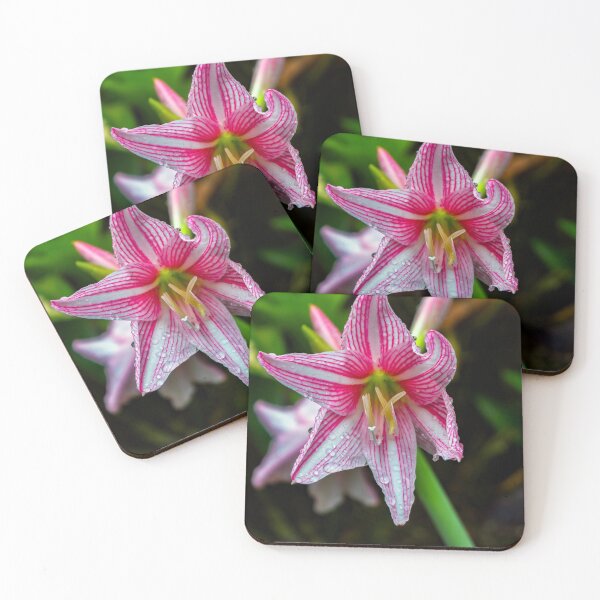 Item preview, Flower Portrait designed and sold by likbatonboot.