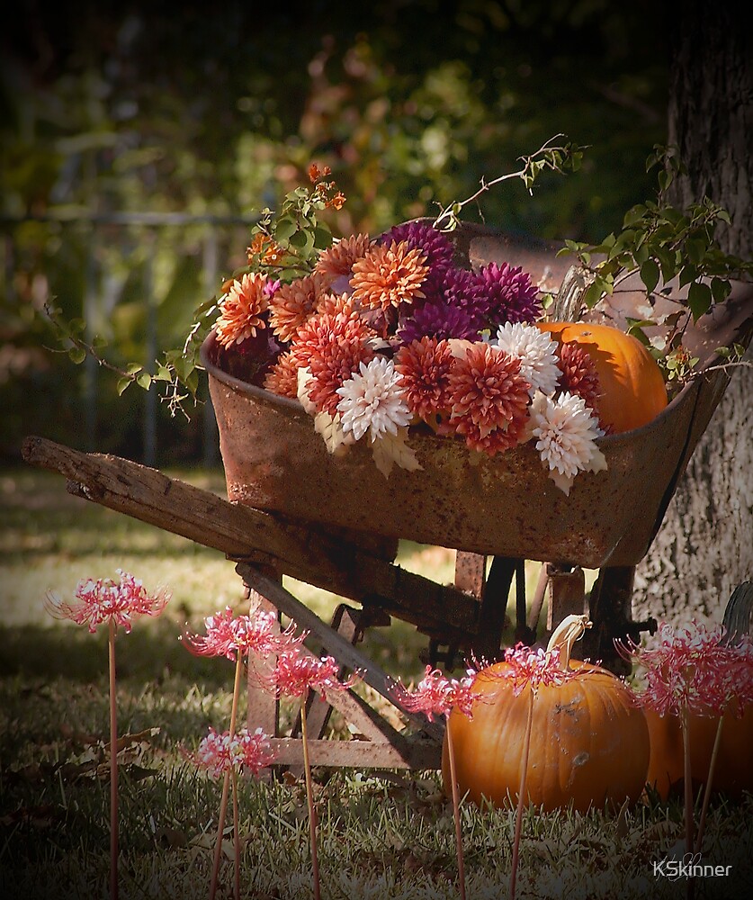 "Wheelbarrow Yard Art" by KSkinner Redbubble