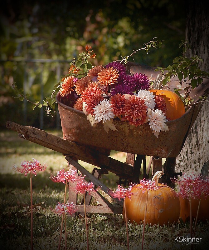 "Wheelbarrow Yard Art" by KSkinner Redbubble