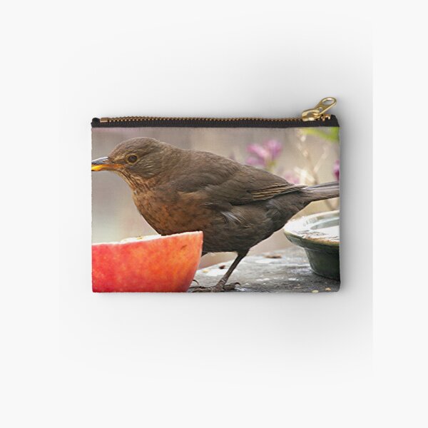 Item preview, Song Thrush.....an infrequent visitor........!! designed and sold by Roy  Massicks.
