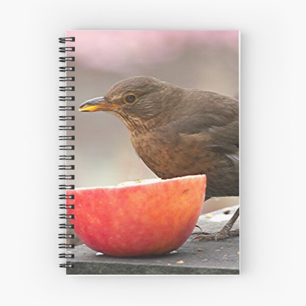 Item preview, Song Thrush.....an infrequent visitor........!! designed and sold by Roy  Massicks.