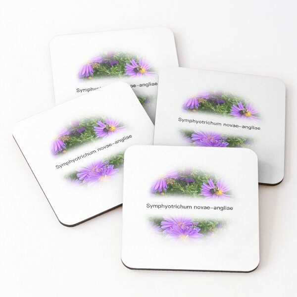 Aperçu de l'œuvre Aster de la Nouvelle-Angleterre (symphyotrichum novae-angliae) [PLANTES INDIGÈNES DE ST. BASSES TERRES DU SAINT-LAURENT] créée et vendue par eveyting.