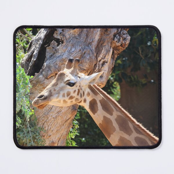 Item preview, Giraffe designed and sold by LeanneAllen.
