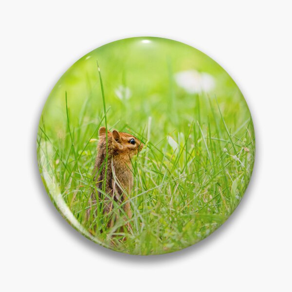 Item preview, Eastern Chipmunk on Watch designed and sold by HectorCantres.