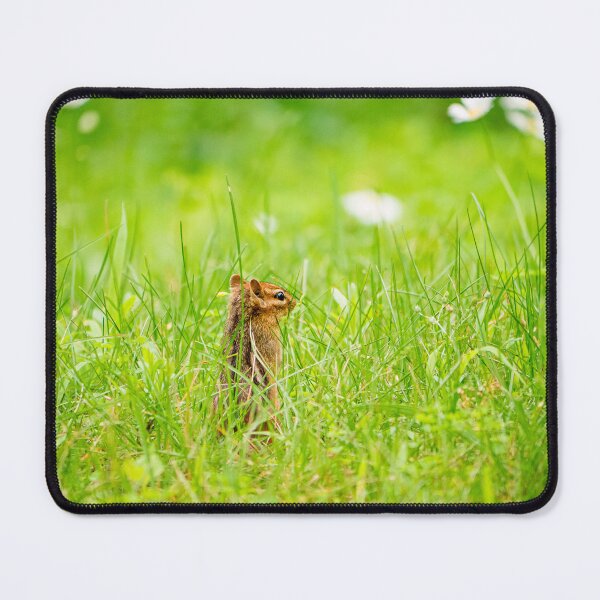 Item preview, Eastern Chipmunk on Watch designed and sold by HectorCantres.