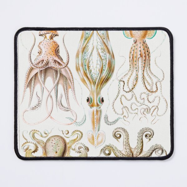 Item preview, Octopi Squid Vintage Sketches designed and sold by SuziQPrayers427.