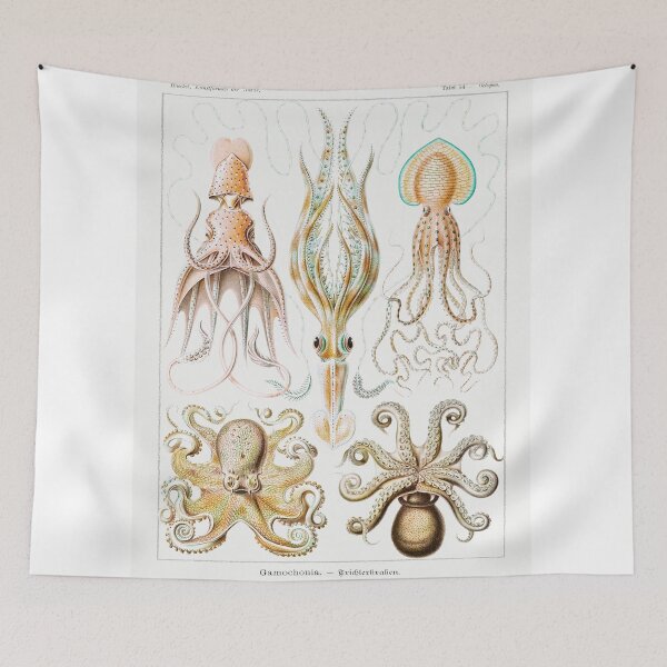 Item preview, Octopi Squid Vintage Sketches designed and sold by SuziQPrayers427.