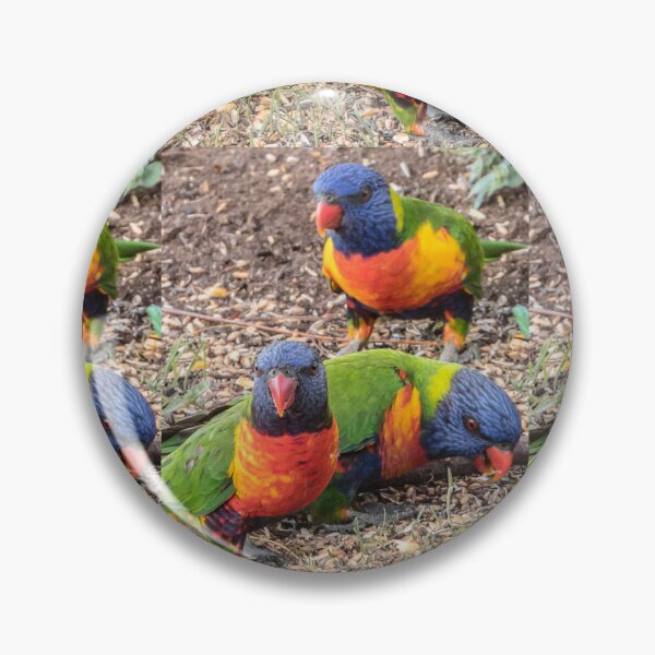 Item preview, Rainbow Lorikeet Reprise designed and sold by Bright76.