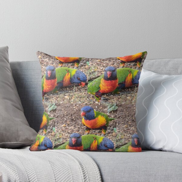 Item preview, Rainbow Lorikeet Reprise designed and sold by Bright76.