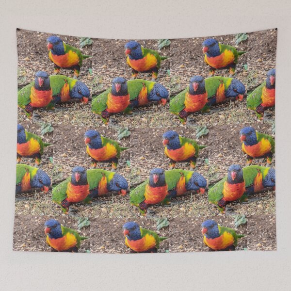 Item preview, Rainbow Lorikeet Reprise designed and sold by Bright76.