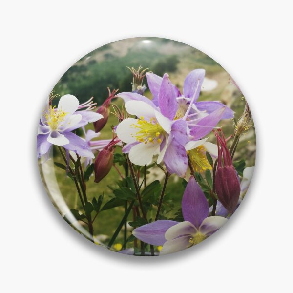 Item preview, Colorado Columbine Flowers designed and sold by alpinhaven.