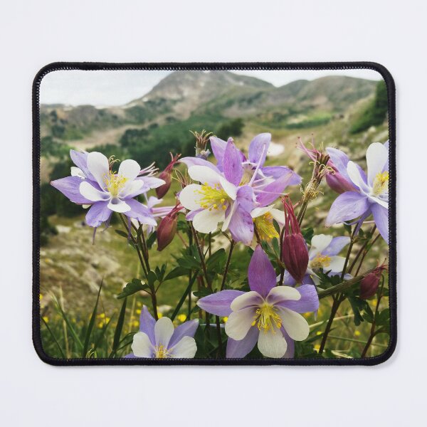 Item preview, Colorado Columbine Flowers designed and sold by alpinhaven.