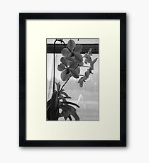lonely Framed Print