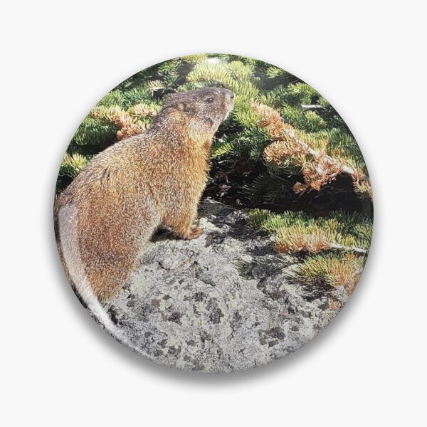 Item preview, Marmot at James Lake designed and sold by alpinhaven.