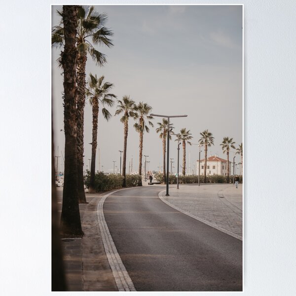 Item preview, A palm tree by the street designed and sold by emir-m.