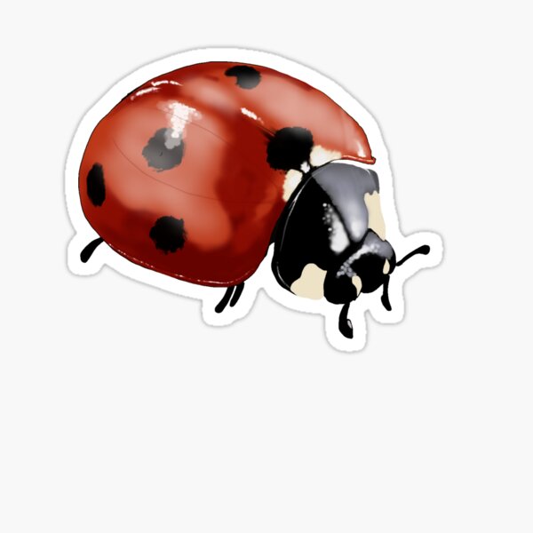 Item preview, Lady bug designed and sold by Vdubs59.