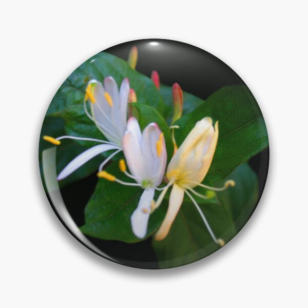Item preview, Fragrant Jasmine  designed and sold by heatherfriedman.