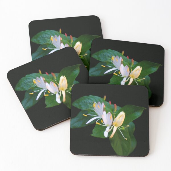 Item preview, Fragrant Jasmine  designed and sold by heatherfriedman.