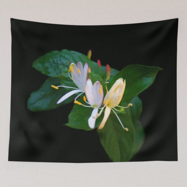 Item preview, Fragrant Jasmine  designed and sold by heatherfriedman.