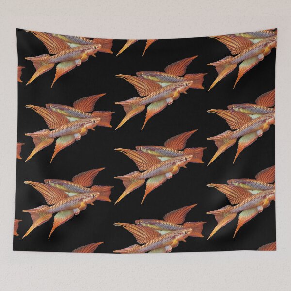 Item preview, BIT Killifish - Scheel  designed and sold by killies.
