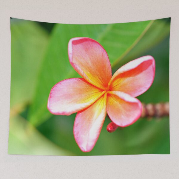 Item preview, Plumeria Flower  designed and sold by Julia McMullen.