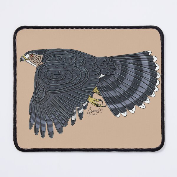Item preview, Cooper's Hawk designed and sold by Corvola Creations.