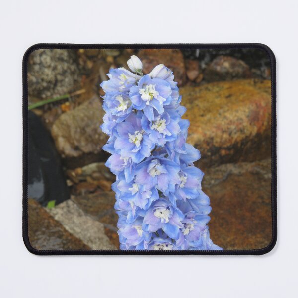 Item preview, Light blue delphinium flowers designed and sold by greentiger1.
