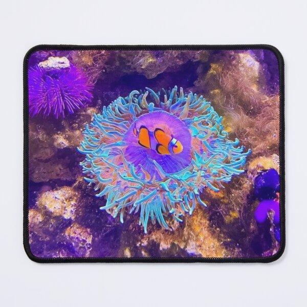 Item preview, Clown Fish & Anemone designed and sold by UnicornCrafts.