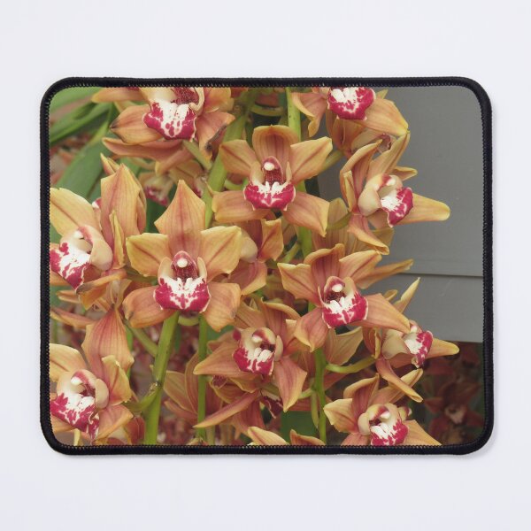 Item preview, Orange cymbidium flowers designed and sold by greentiger1.