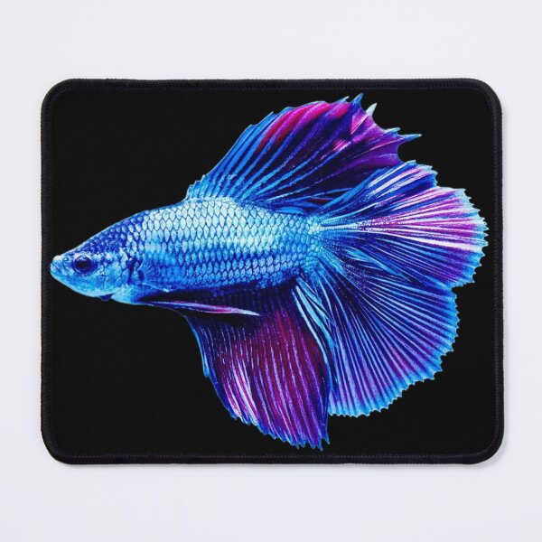 Item preview, Blue Betta Double tail designed and sold by killies.