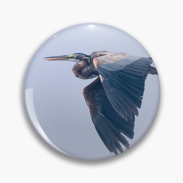 Artikelvorschau, Purple heron entworfen und verkauft von Puttaswamy Ravishankar.
