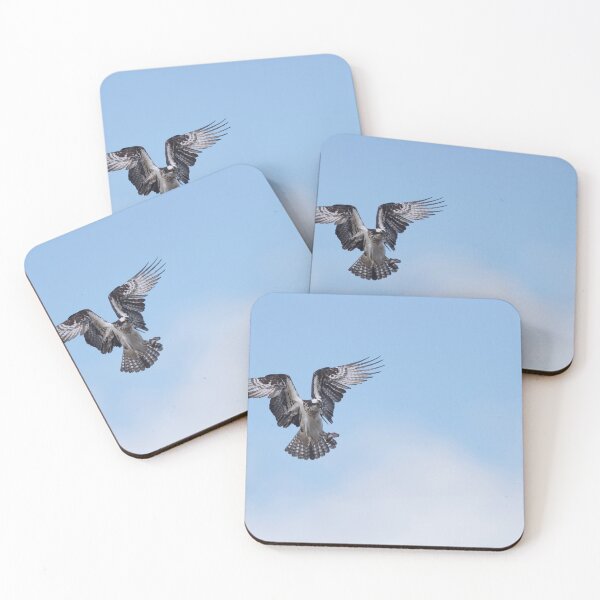 Item preview, Osprey in the blue sky designed and sold by Puttaswamy Ravishankar.