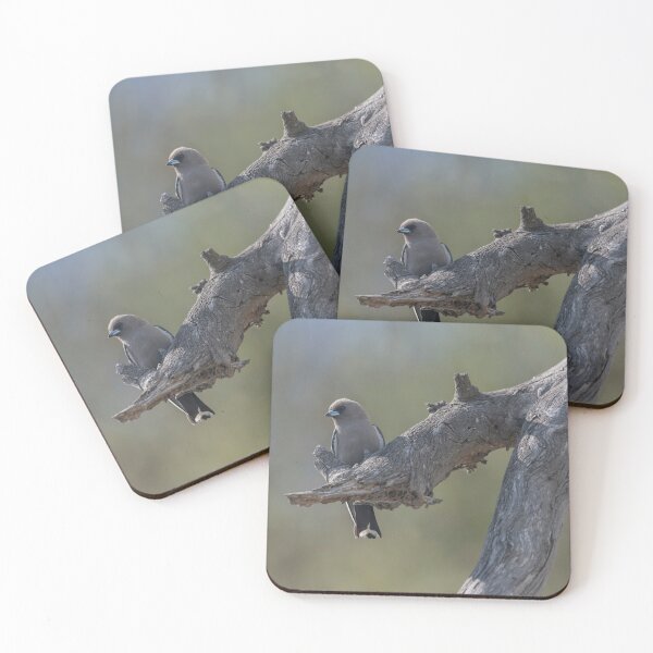 Item preview, Dusky Woodswallow designed and sold by Puttaswamy Ravishankar.