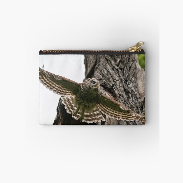 Item preview, Mama Barred Owl spreading its wings designed and sold by Puttaswamy Ravishankar.