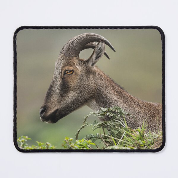 Item preview, Nilgiri tahr designed and sold by Puttaswamy Ravishankar.