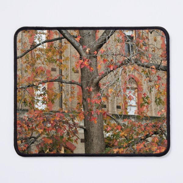 Item preview, convent tree designed and sold by Esther Frieda.