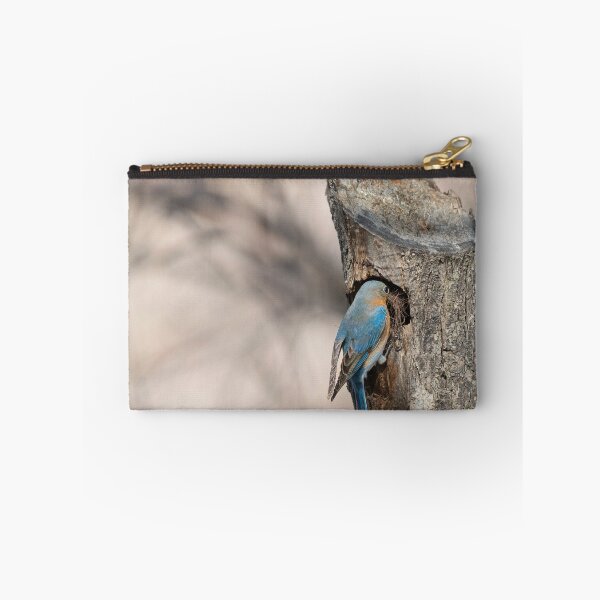 Aperçu de l'œuvre Eastern Bluebird créée et vendue par Puttaswamy Ravishankar.