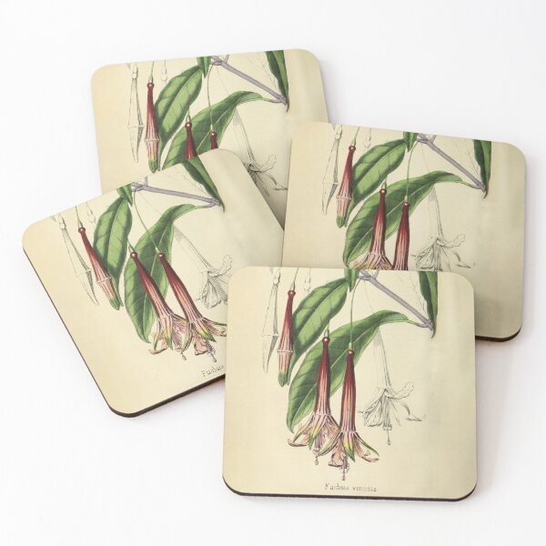 Item preview, Vintage Fuchsia Vonusta Horticultural review (1850) designed and sold by ptMaker.