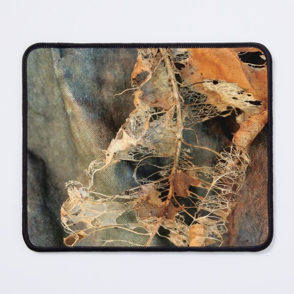 Item preview, Leaf skeleton designed and sold by Esther Frieda.